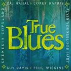 輸入盤 VARIOUS / TRUE BLUES [CD]