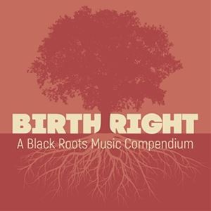 輸入盤 VARIOUS / BIRTHRIGHT： A BLACK ROOTS MUSIC COMPENDIUM [2CD]