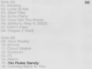 輸入盤 SYLVAN ESSO / NO RULES SANDY [CD]