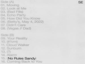 輸入盤 SYLVAN ESSO / NO RULES SANDY [LP]