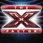 輸入盤 VARIOUS / X FACTOR [2CD]