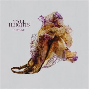 輸入盤 TALL HEIGHTS / NEPTUNE [CD]