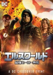 エルスワールド 最強ヒーロー外伝 [DVD]