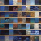 輸入盤 TINDERSTICKS / SOMETHING RAIN [CD]