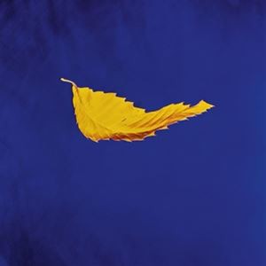 輸入盤 NEW ORDER / TRUE FAITH （2023 REMASTER 12INCH SINGLE VINYL） [LP]