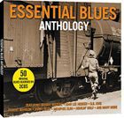 輸入盤 VARIOUS / ESSENTIAL BLUES ANTHOLOGY [2CD]