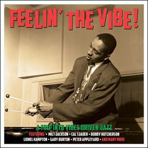 輸入盤 VARIOUS / FEELIN’ THE VIBE [2CD]