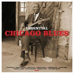 輸入盤 VARIOUS / ESSENTIAL CHICAGO BLUES [LP]