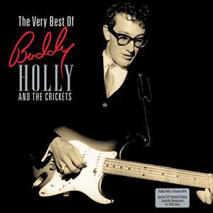 輸入盤 BUDDY HOLLY ＆ THE CRICKETS / VERY BEST OF [2LP]