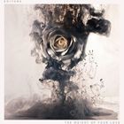 輸入盤 EDITORS / WEIGHT OF YOUR LOVE [CD]