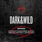 輸入盤 BTS / 1ST ALBUM ： DARK ＆ WILD [CD]