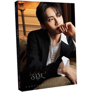 輸入盤 LEE JIN HYUK / SOLO ALBUM ： S.O.L （GOLD VER） [CD]