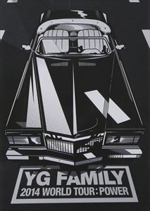 輸入盤 VARIOUS / 2014 YG FAMILY CONCERT IN SEOUL LIVE CD （3CD＋PHOTOBOOK） [3CD]