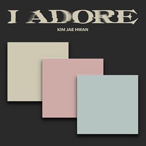 輸入盤 KIM JAE HWAN / I ADORE [CD]