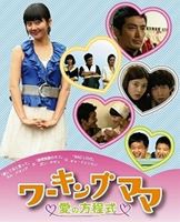 ワーキングママ〜愛の方程式〜 DVD-BOX [DVD]