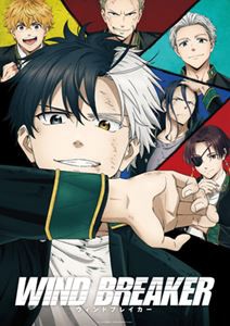 WIND BREAKER 4（完全生産限定盤） [DVD]