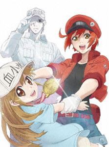 はたらく細胞!! 1（完全生産限定版） [Blu-ray]