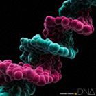 MONKEY MAJIK / DNA [CD]