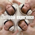 flumpool / experience（通常盤） [CD]