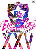 B’z LIVE-GYM Pleasure 2013 ENDLESS SUMMER-XXV BEST-（通常盤） [DVD]