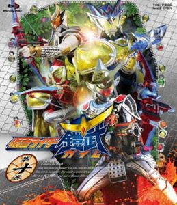 仮面ライダー鎧武／ガイム 第十巻 [Blu-ray]