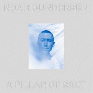 NOAH GUNDERSEN / A PILLAR OF SALT [CD]