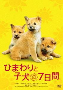ひまわりと子犬の7日間 [DVD]