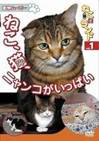 動物ムービー DVDシリーズねこ（猫）ざ ランド 1（ねこ、猫、ニャンコがいっぱい） [DVD]