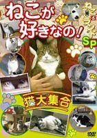 動物DVD ねこが好きなの!猫大集合 ねこ（猫）ざ ランドSP [DVD]