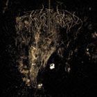 トゥー・ハンターズ / WOLVES IN THE THRONE ROOM [CD]