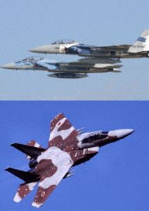 Aggressor：アグレッサー 新田原基地航空祭 F-15デモフライト 2010年〜2015年 [DVD]