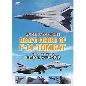 VF-154 ブラックナイツ F-14トムキャットの勇姿 [DVD]