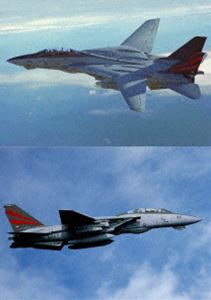 F-14A トムキャット ファイナル [DVD]