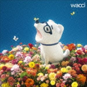 wacci / キラメキ（通常盤） [CD]