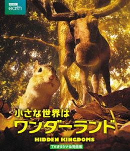 小さな世界はワンダーランド TVオリジナル完全版 [Blu-ray]