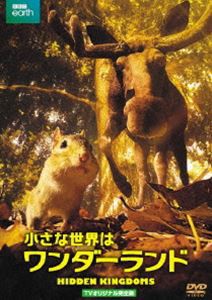 小さな世界はワンダーランド TVオリジナル完全版（2枚組） [DVD]