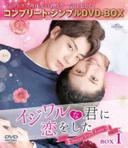 イジワルな君に恋をした〜Sweet First Love〜 BOX1＜コンプリート・シンプルDVD-BOX5，000円シリーズ＞【期間限定生産】 [DVD]