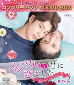 イジワルな君に恋をした〜Sweet First Love〜 BOX2＜コンプリート・シンプルDVD-BOX5，000円シリーズ＞【期間限定生産】 [DVD]