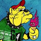 FIRE DOG 69 / TV HITS J-POP PUNK - COVERS [CD]