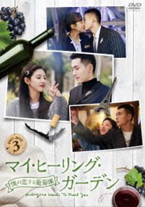マイ・ヒーリング・ガーデン〜僕の恋する葡萄園〜 DVD-BOX3 [DVD]