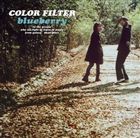 COLOR FILTER / blueberry [CD]