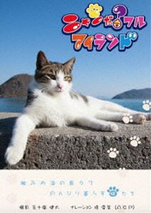 ニャンだ?フルアイランド [DVD]