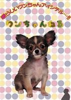 ワンちゃんねる チワワ [DVD]