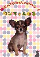 ワンちゃんねる 3ツ子のミニチュアダックスフンド（クリーム） [DVD]