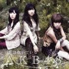 AKB48 / 風は吹いている（通常盤Type-B／CD＋DVD） [CD]