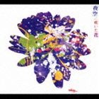 坂本サトル / 夜空に咲いた花 [CD]