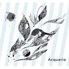 紙田聡 / ACQUARIO [CD]