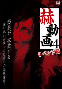 赫動画4 リベンジ篇 [DVD]