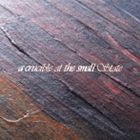 (オムニバス) a crucible at the small State [CD]