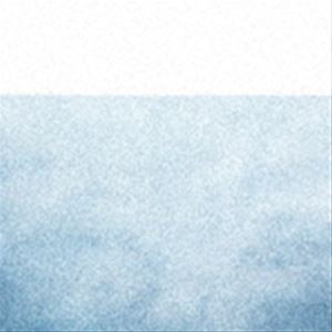 [送料無料] Hideyuki Hashimoto / opus [CD]